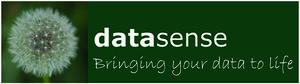 Datasense Company Logo